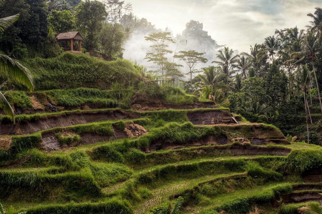 UBUD