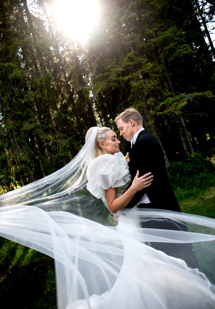 Heldagsfotografering i Trondheim